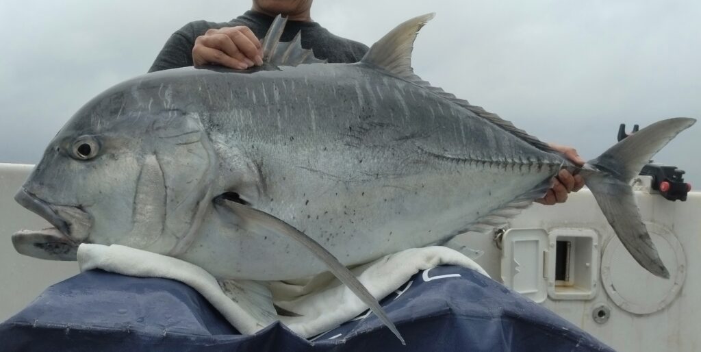 屋久島　GTキャスティング　GTフィッシング　フィスニック　FISNIC　遊漁船　釣り
　釣果　吐噶喇列島　トカラ列島　口之島　口永良部島　中之島　オフショアキャスティング　オフショアフィッシング　トップウォーター　ルアーフィッシング　GT　ジャイアントトレバリー　　