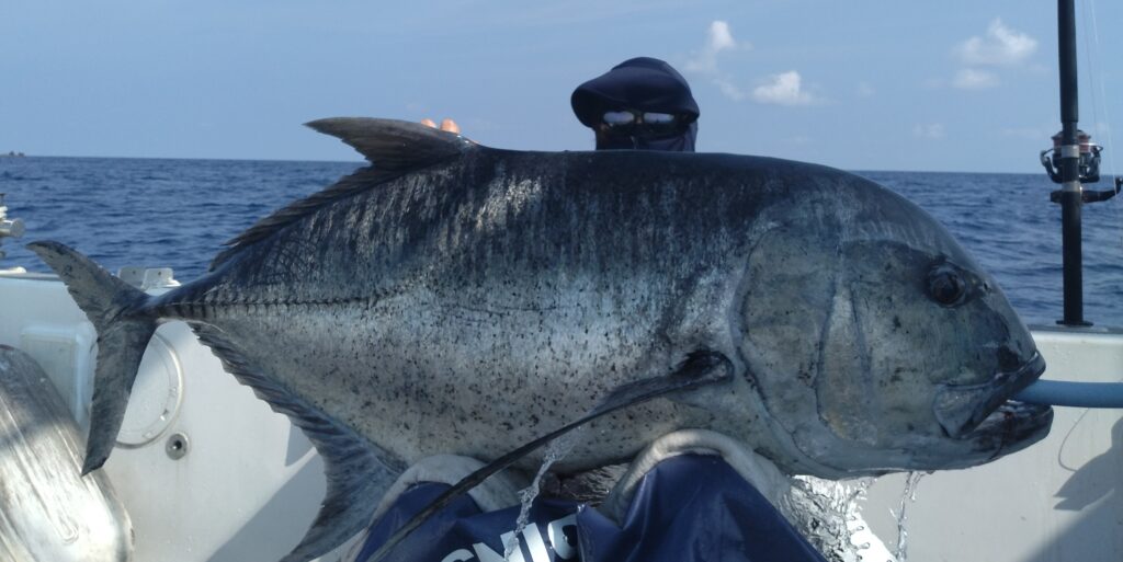 GTキャスティング, GTフィッシング, トカラ列島, 吐噶喇列島, 屋久島, 屋久島遊漁船, 遊漁船, GT, ジャイアントトレバリー
