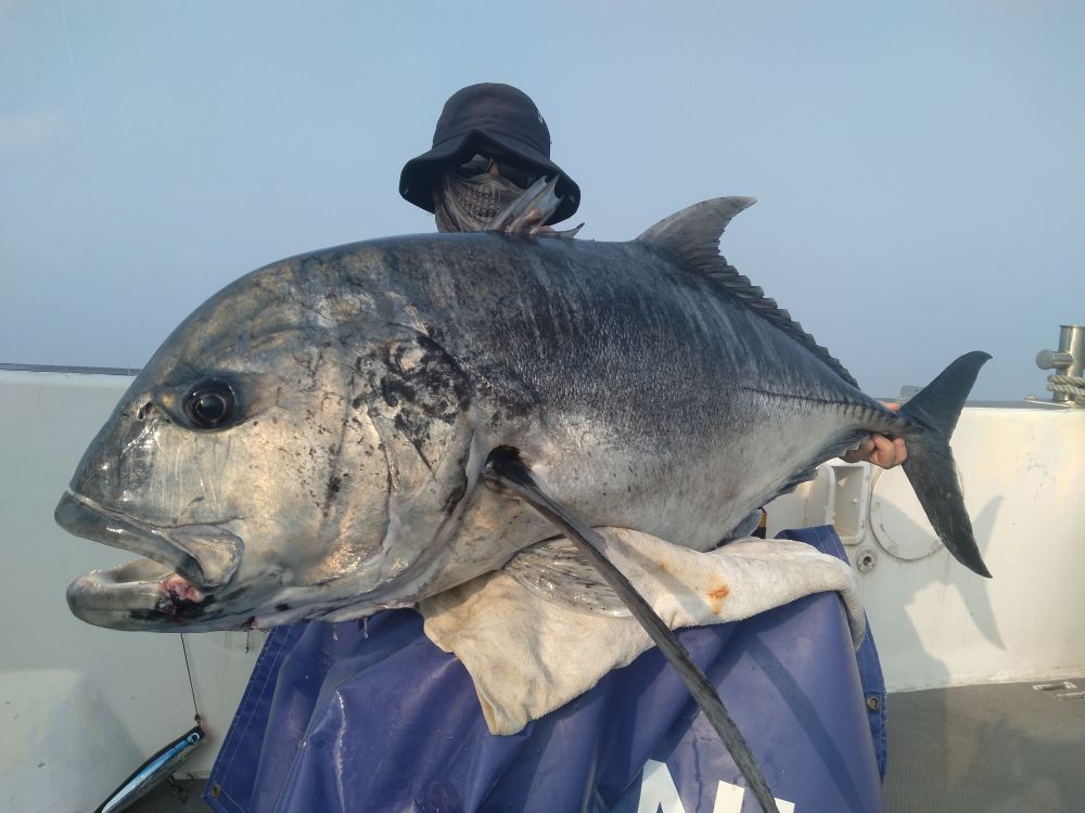 屋久島　GTキャスティング　GTフィッシング　フィスニック　FISNIC　遊漁船　釣り
　釣果　吐噶喇列島　トカラ列島　口之島　口永良部島　中之島　オフショアキャスティング　オフショアフィッシング　トップウォーター　ルアーフィッシング　GT　ジャイアントトレバリー　